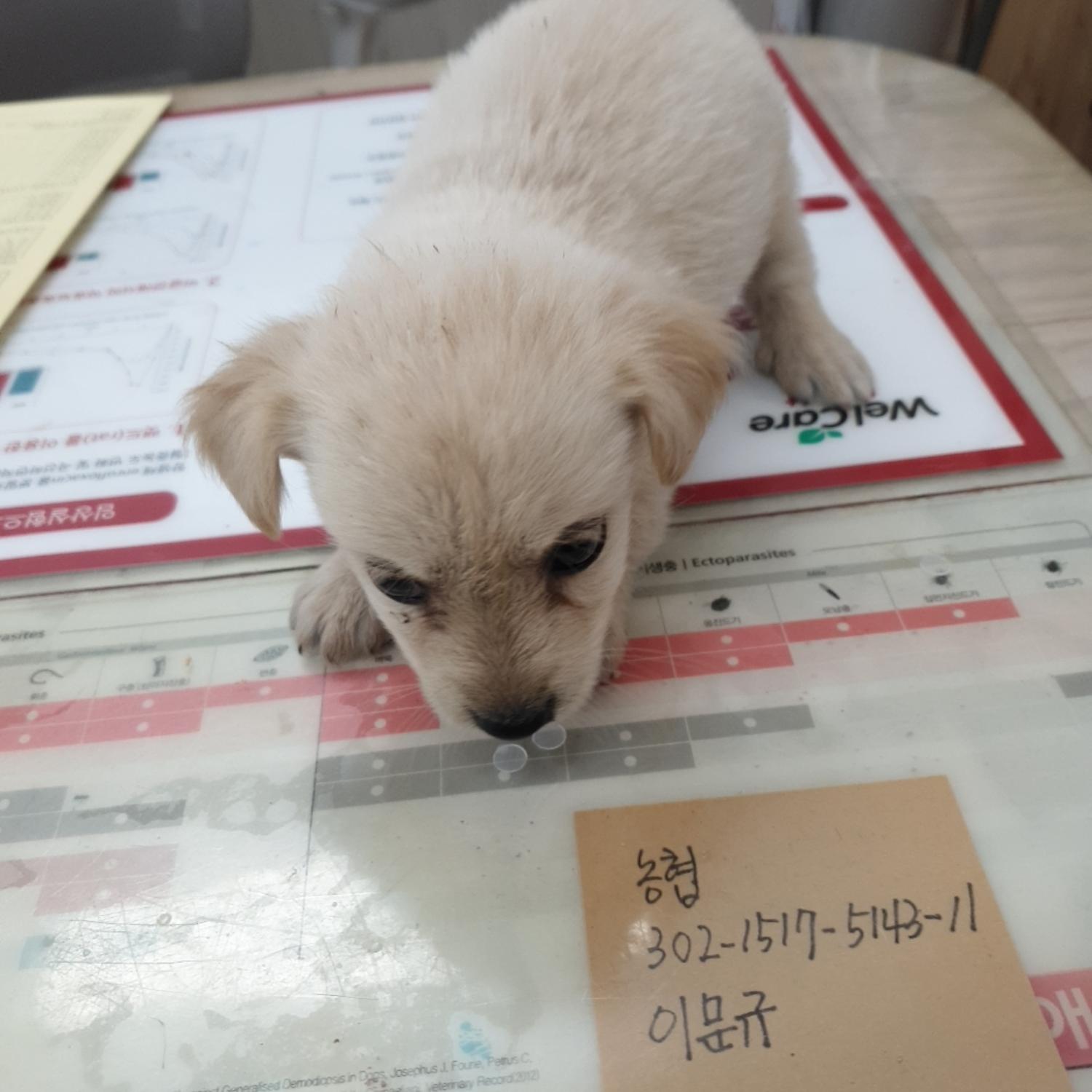 나주유기동물보호센터_446483202301232