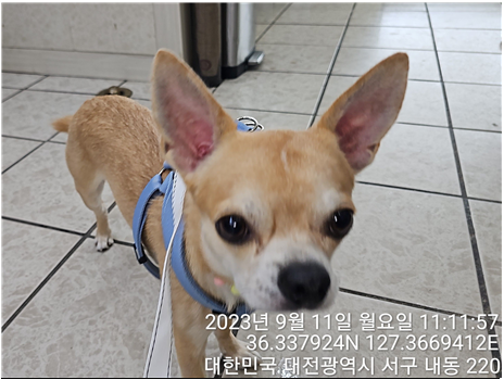 대전동물보호센터_430366202300531