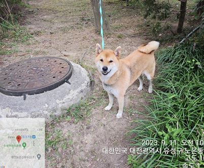 종료(반환) 시바의…
