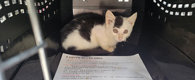 GD동물병원_411324202300491