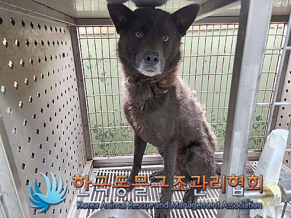 한국동물구조관리협회_441409202301407