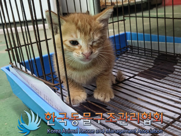 한국동물구조관리협회_411316202300638