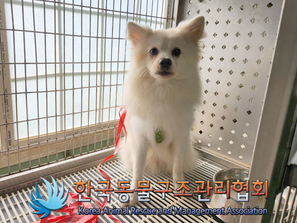한국동물구조관리협회_411303202300466