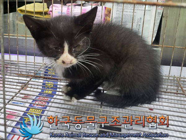 종료(자연사) 한국…