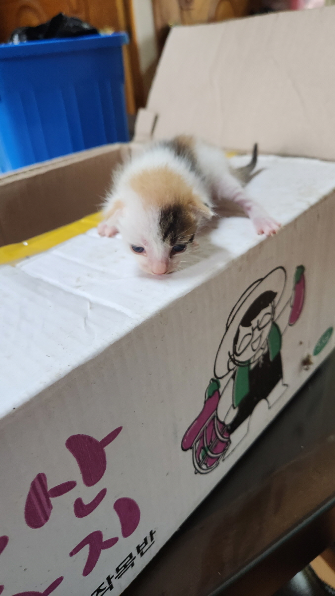 익산유기동물보호소_445468202301773