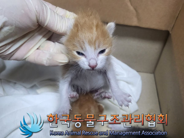 종료(자연사) 한국…