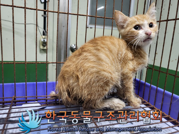 종료(자연사) 한국…
