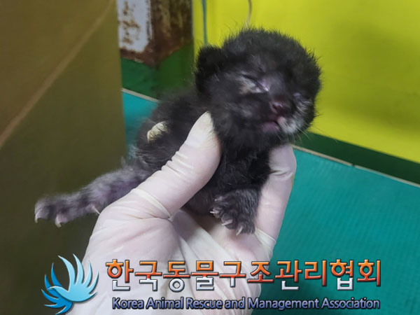 한국동물구조관리협회_411316202300640