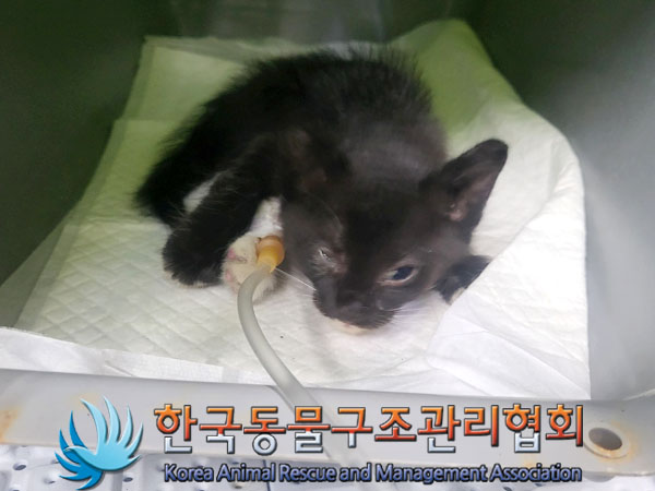 종료(자연사) 한국…