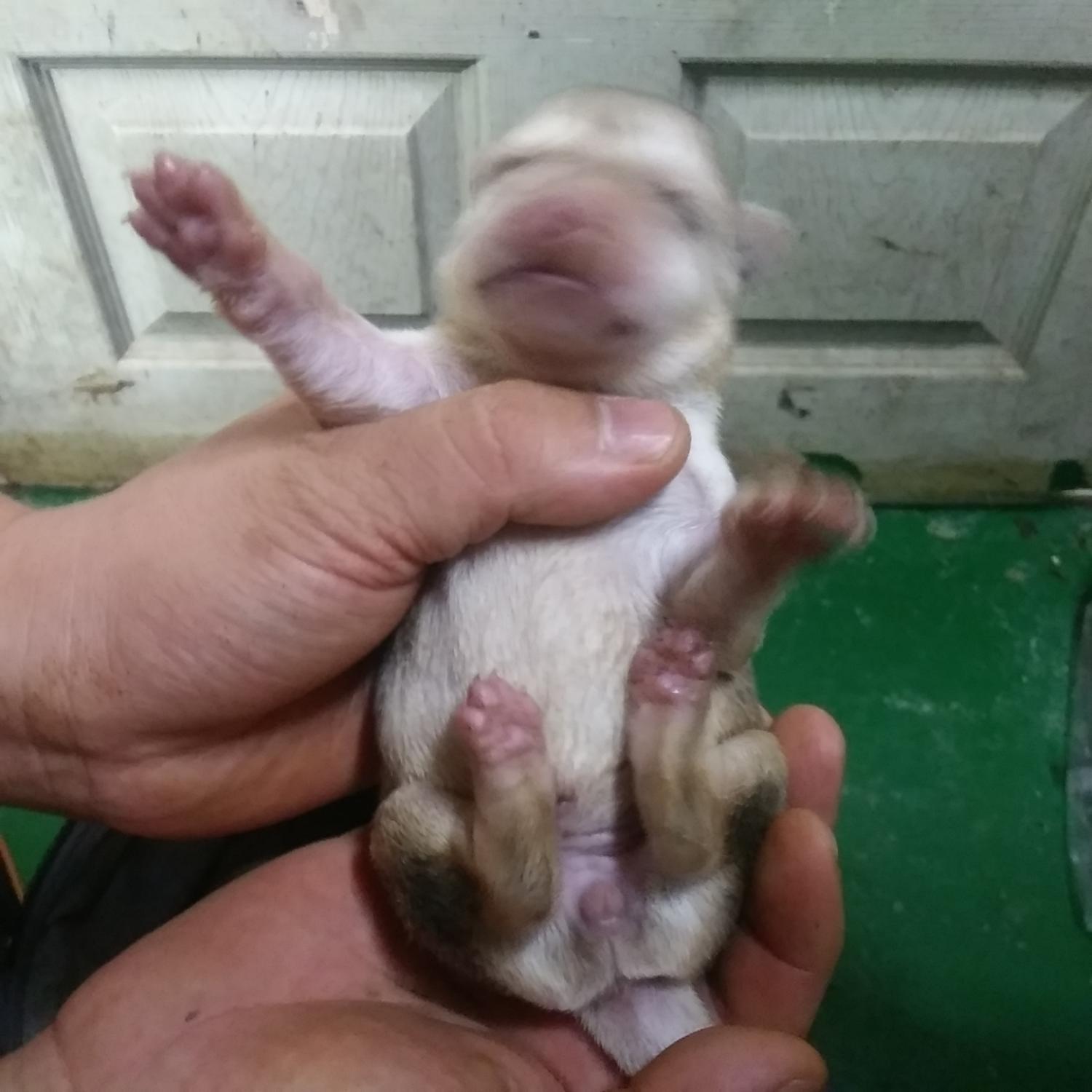 인천광역시수의사회_428353202300981