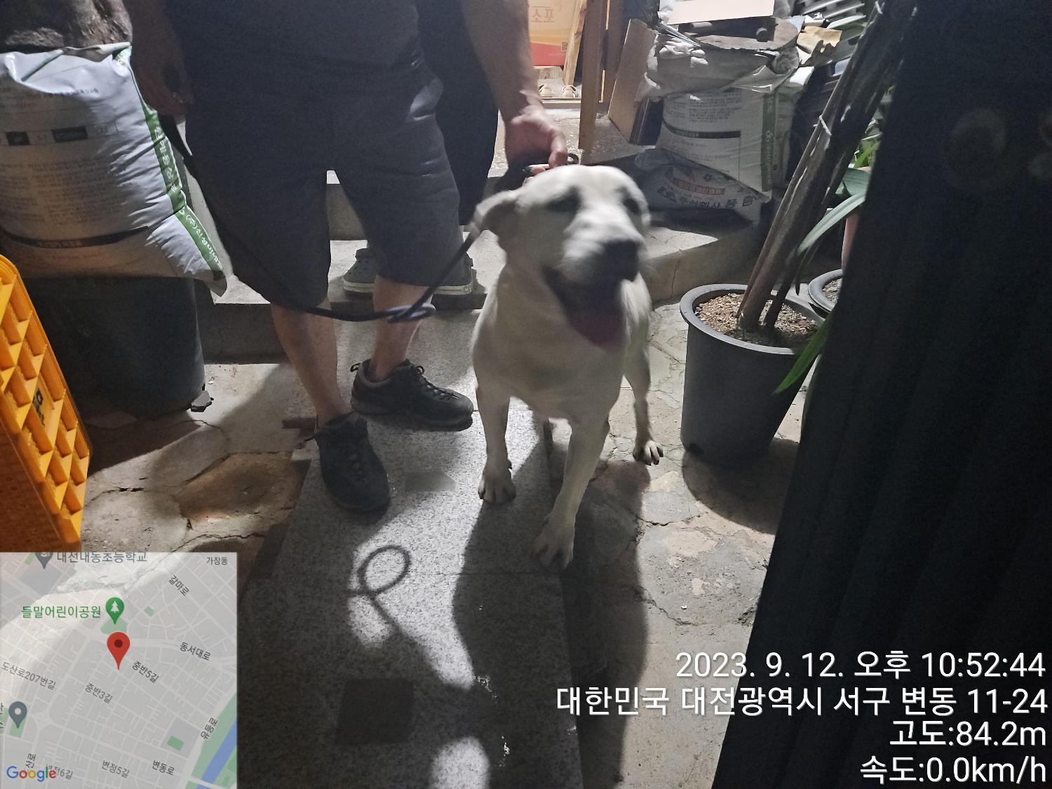 대전동물보호센터_430365202300399