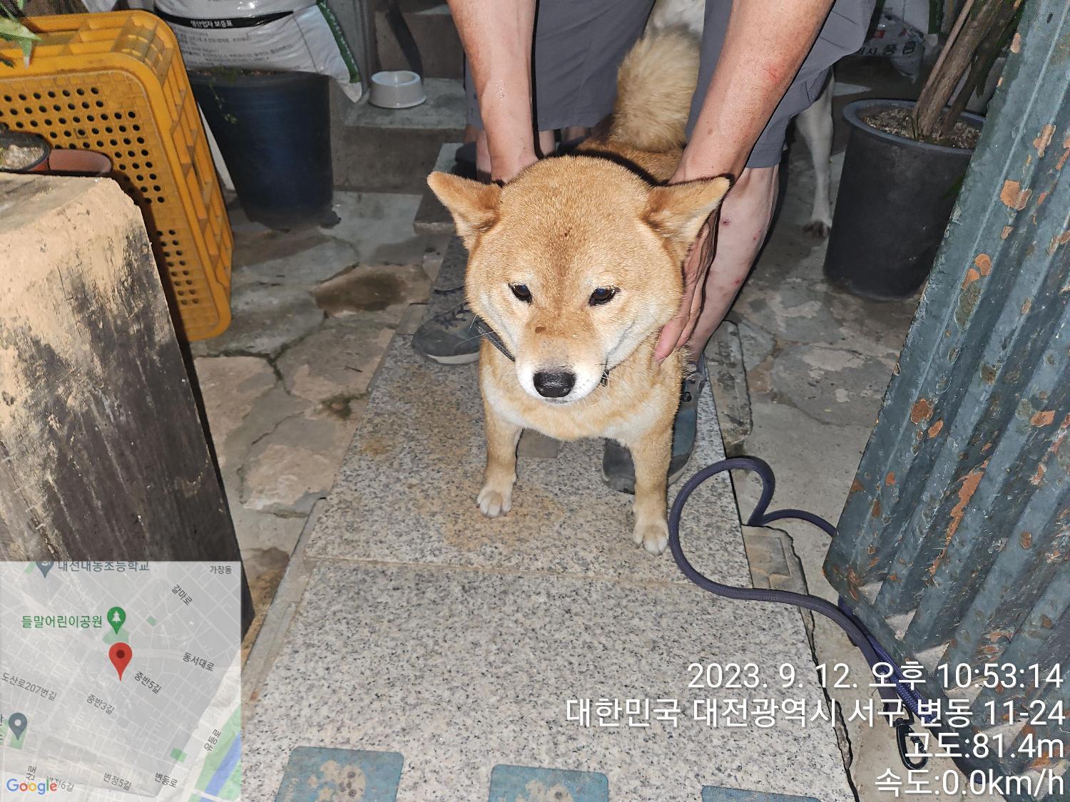 종료(반환) 시바의…