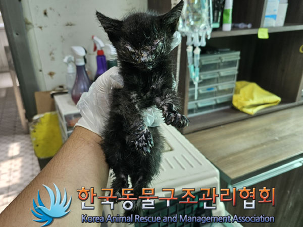 한국동물구조관리협회_411310202300412