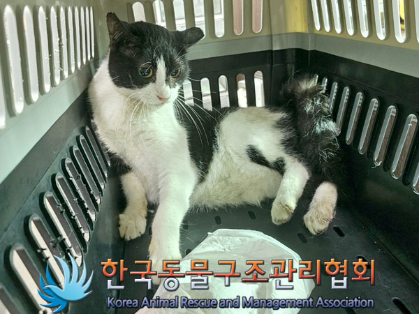 한국동물구조관리협회_411304202300575