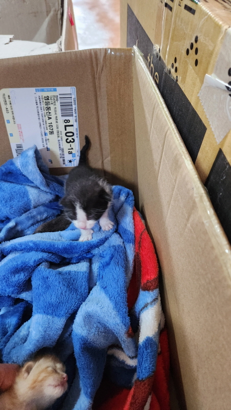 익산유기동물보호소_445468202301779