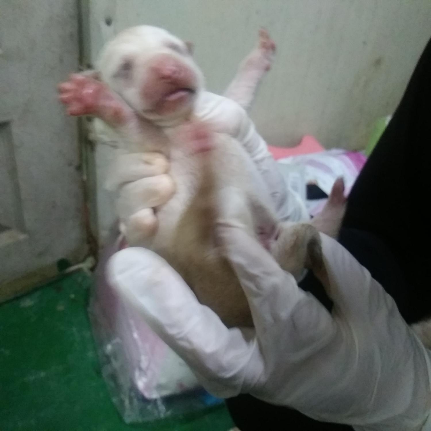 인천광역시수의사회_428353202300980