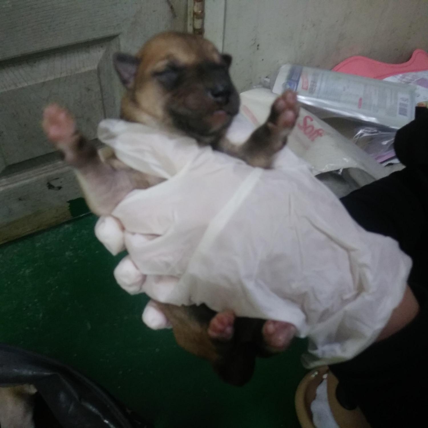 인천광역시수의사회_428353202300977