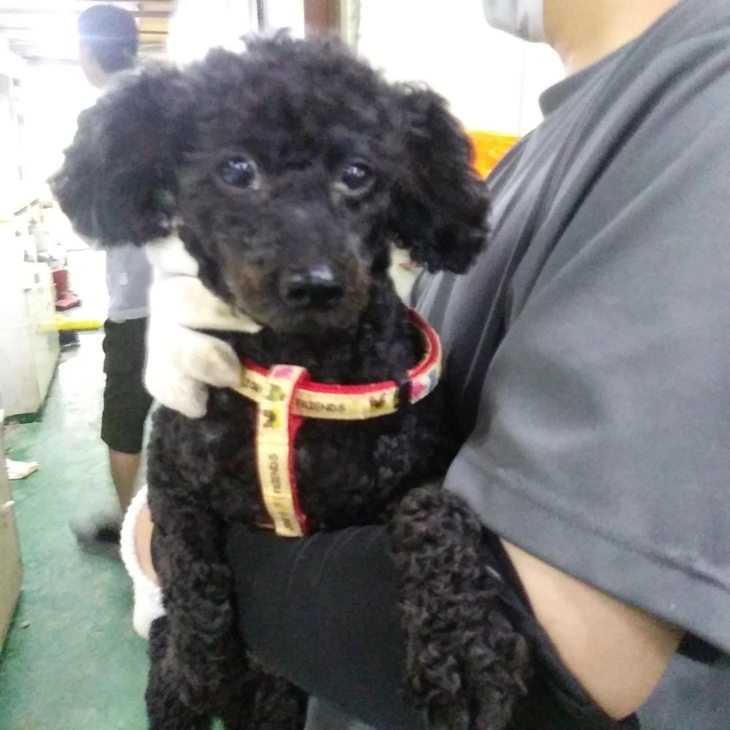 인천광역시수의사회_428351202300696