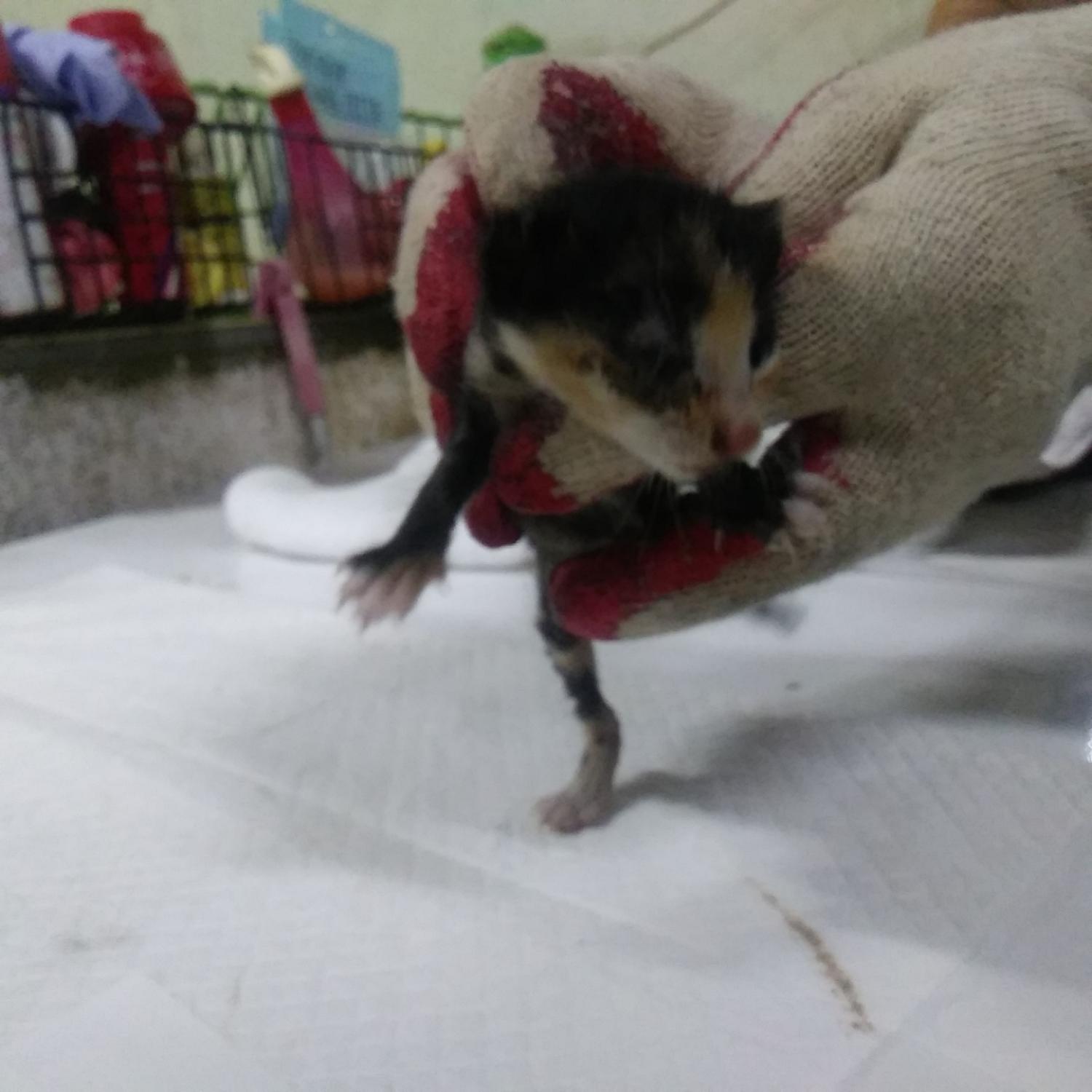 종료(자연사) 한국…