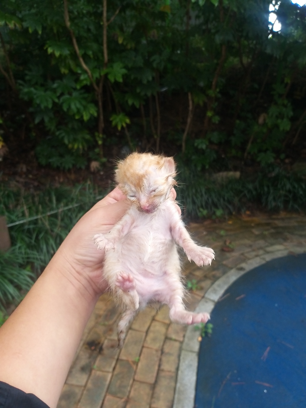 부산동물보호센터_426332202300501