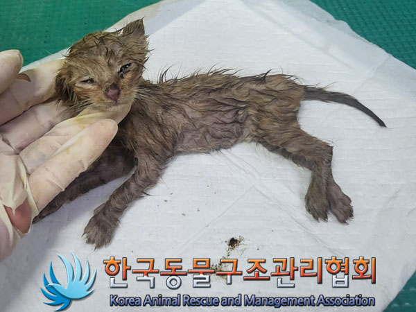 종료(자연사) 한국…