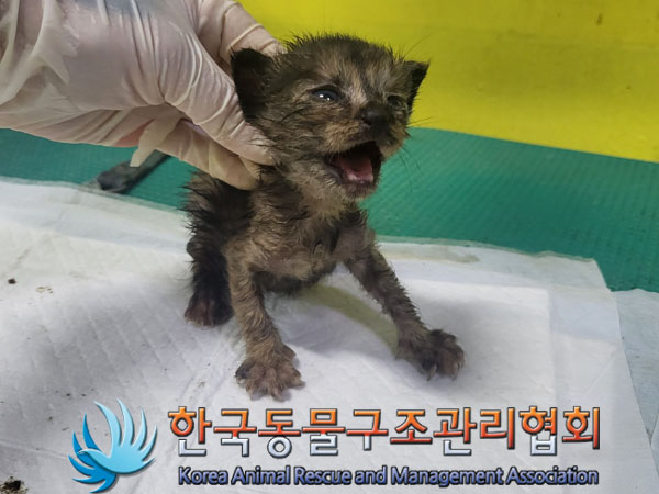 종료(자연사) 한국…