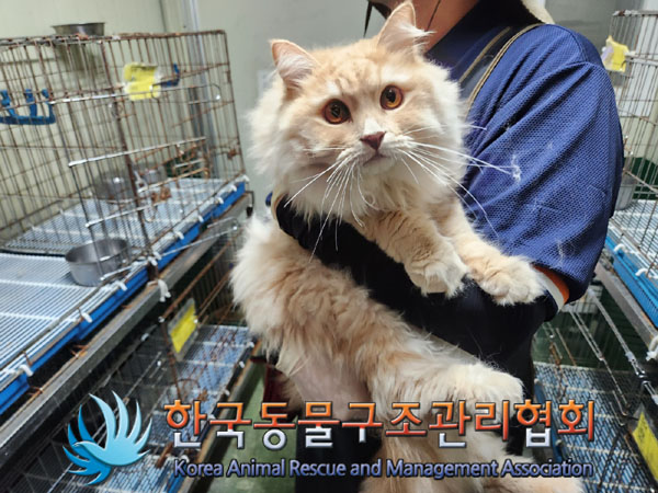 한국동물구조관리협회_411323202300789
