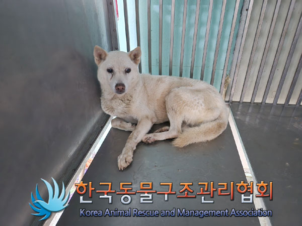한국동물구조관리협회_441414202300710