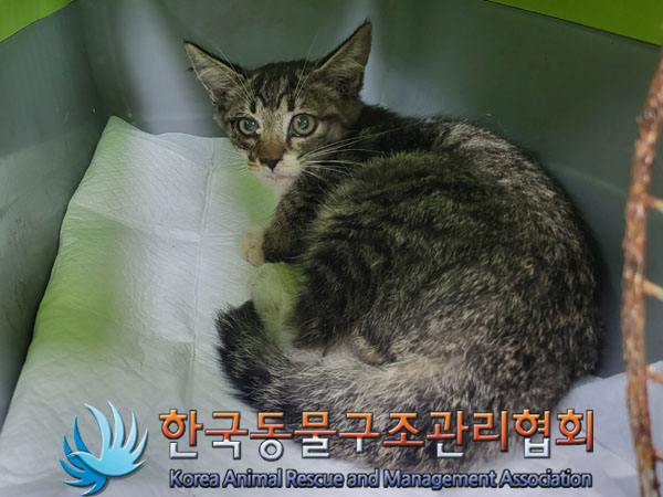 종료(자연사) 한국…