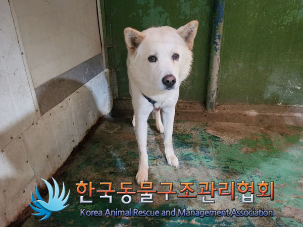 한국동물구조관리협회_441406202301309