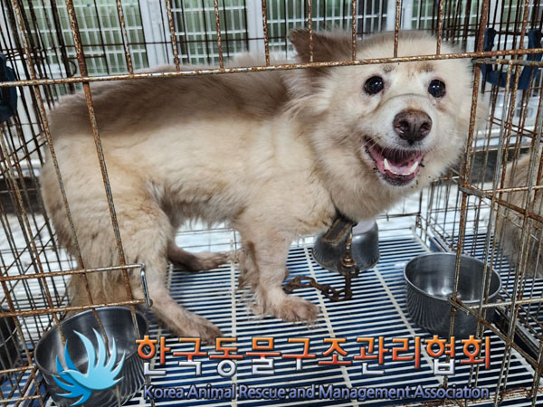 한국동물구조관리협회_441560202301064