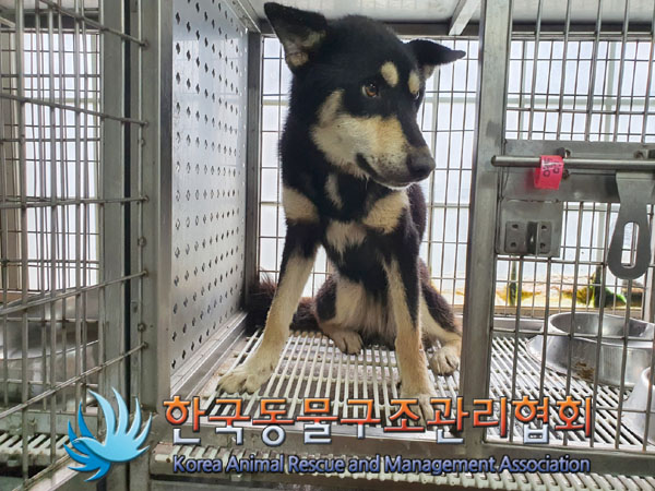 한국동물구조관리협회_411312202300566