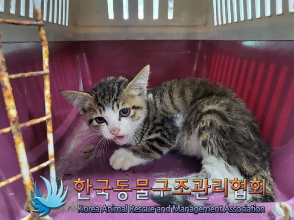 종료(자연사) 한국…