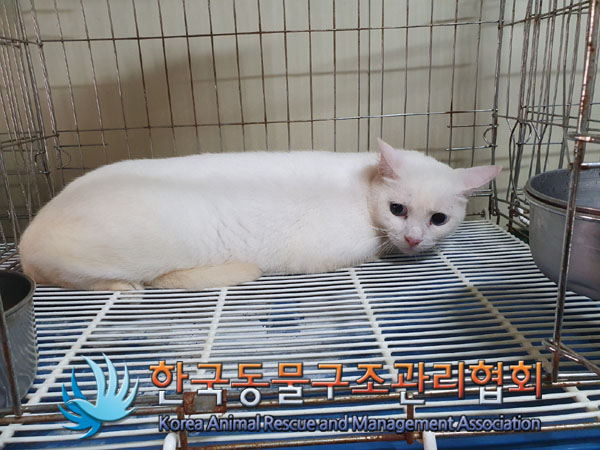 한국동물구조관리협회_411304202300588