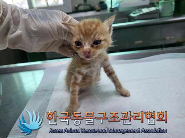 종료(자연사) 한국…
