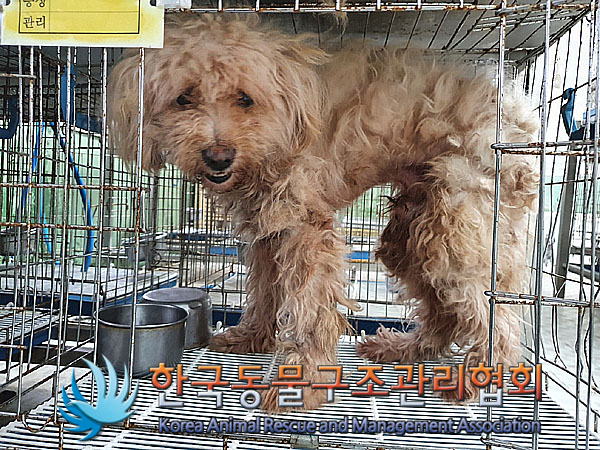 한국동물구조관리협회_411310202300413
