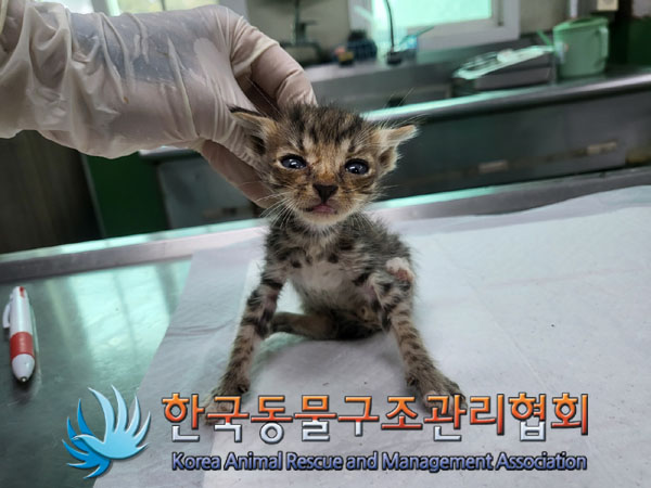 종료(자연사) 한국…