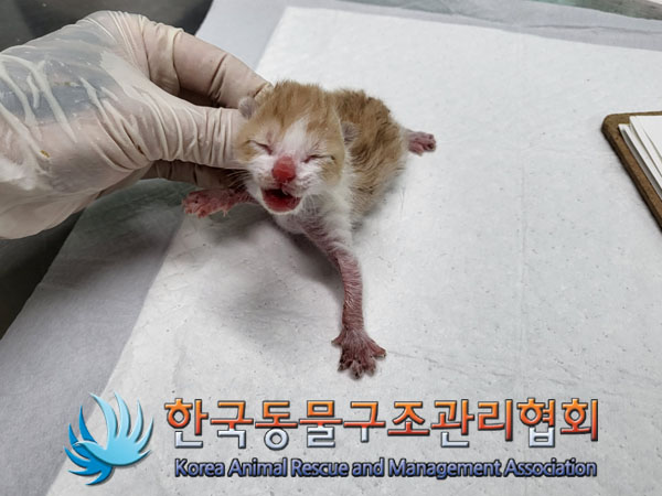 종료(자연사) 한국…