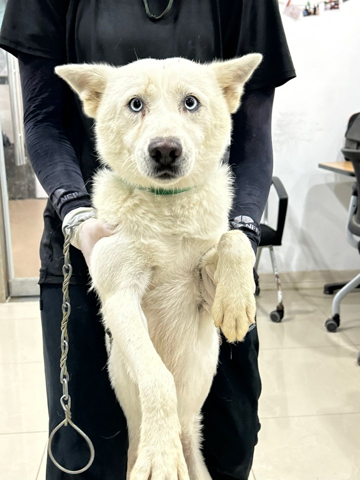 반려동물보호센터_443571202302226