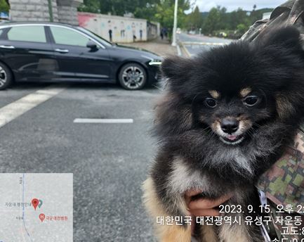 대전동물보호센터_430367202300558