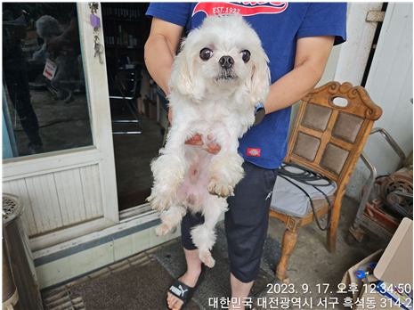 대전동물보호센터_430366202300536