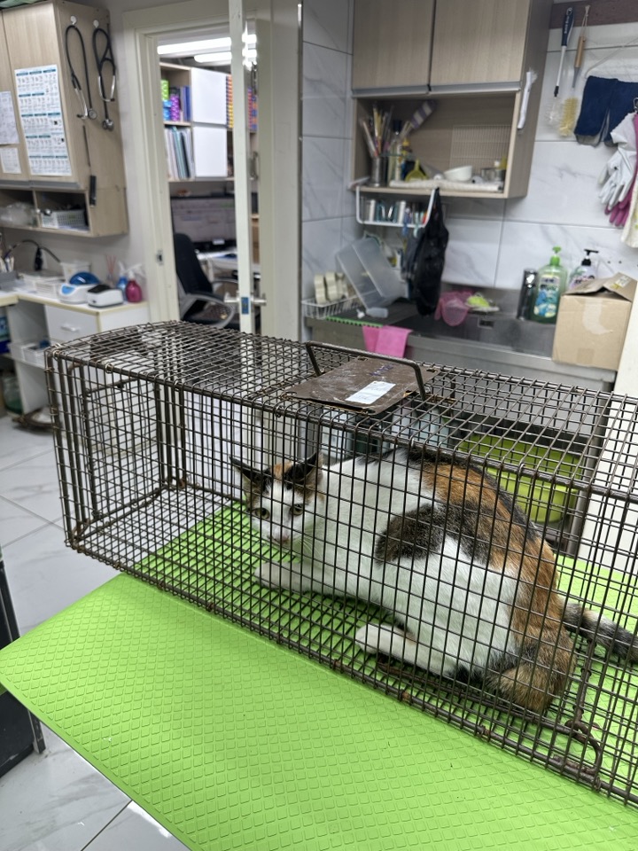 신공항동물병원_428349202300830