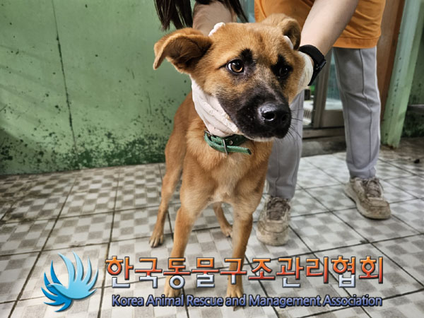 한국동물구조관리협회_441409202301422