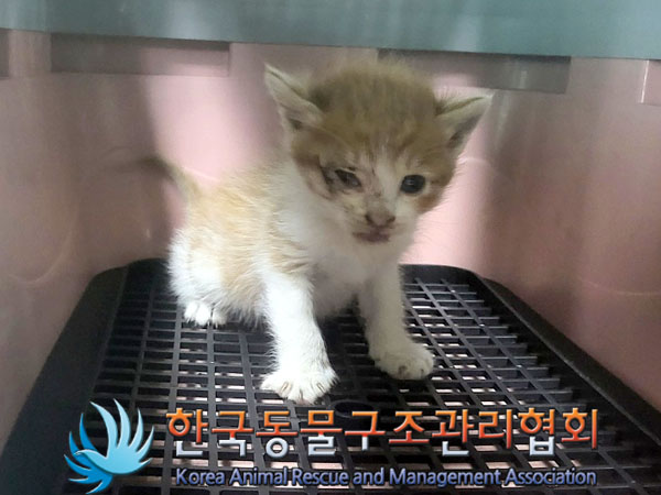 종료(자연사) 한국…