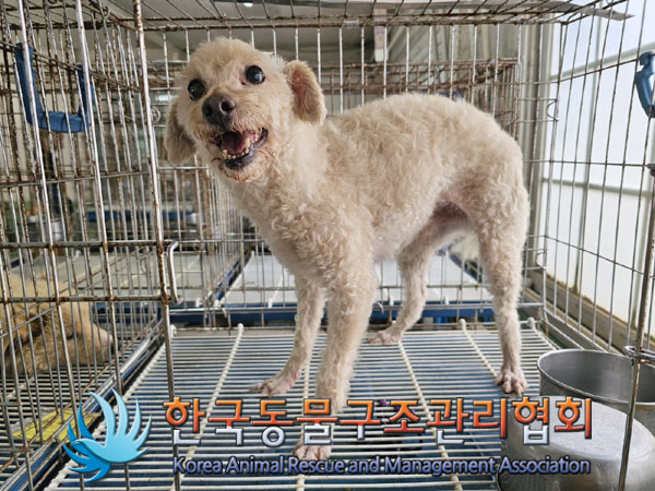 한국동물구조관리협회_441398202300354