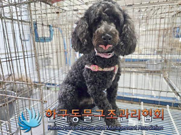 한국동물구조관리협회_411303202300476