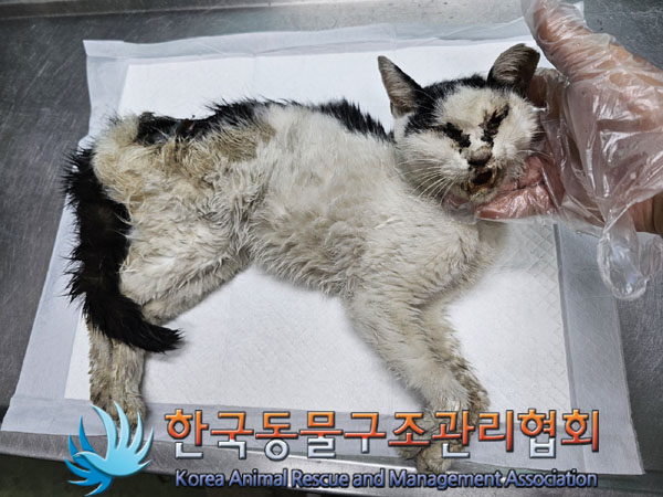 한국동물구조관리협회_411316202300650