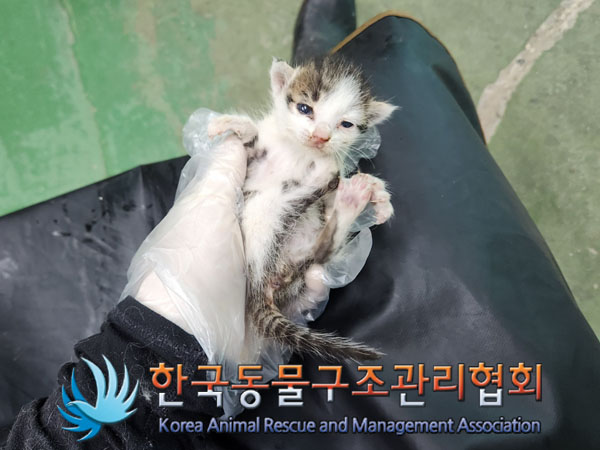 한국동물구조관리협회_441560202301079