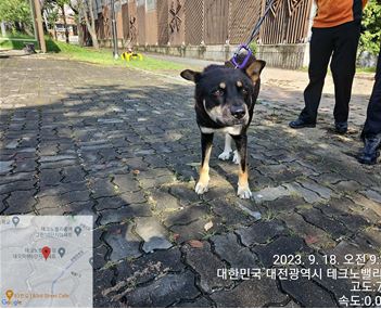 대전동물보호센터_430367202300563