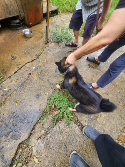종료(반환) 시바의…